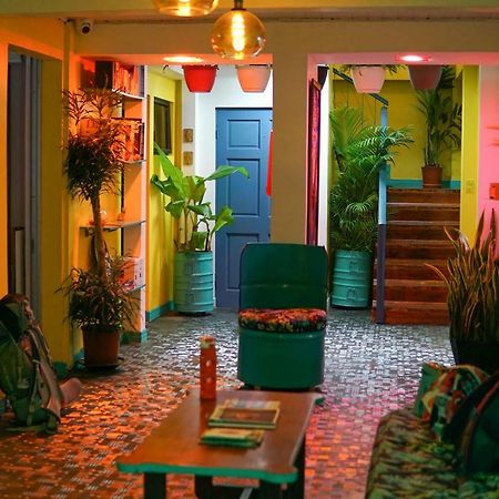 Nativus Art-Hostel San José Dış mekan fotoğraf