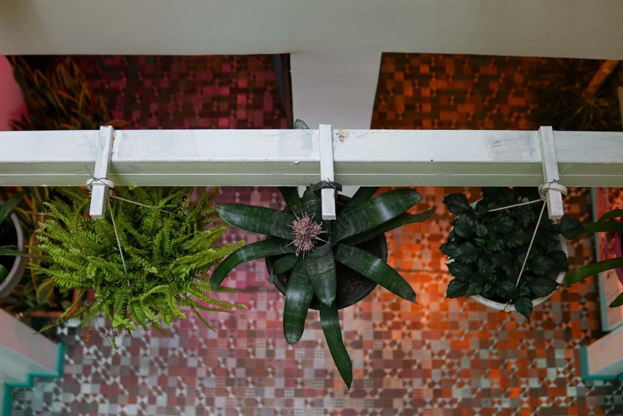 Nativus Art-Hostel San José Dış mekan fotoğraf