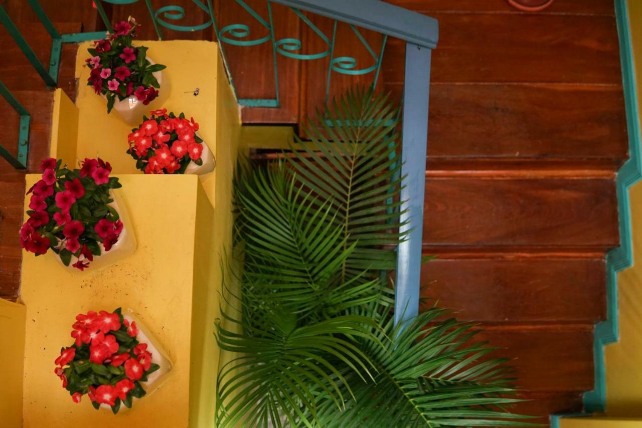 Nativus Art-Hostel San José Dış mekan fotoğraf