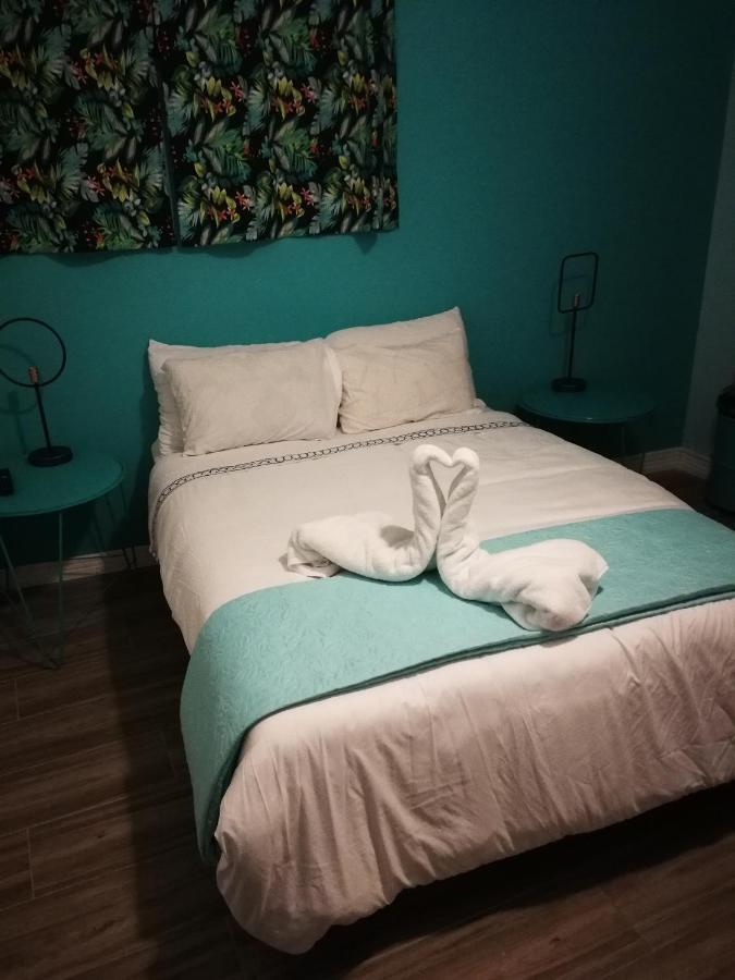 Nativus Art-Hostel San José Dış mekan fotoğraf