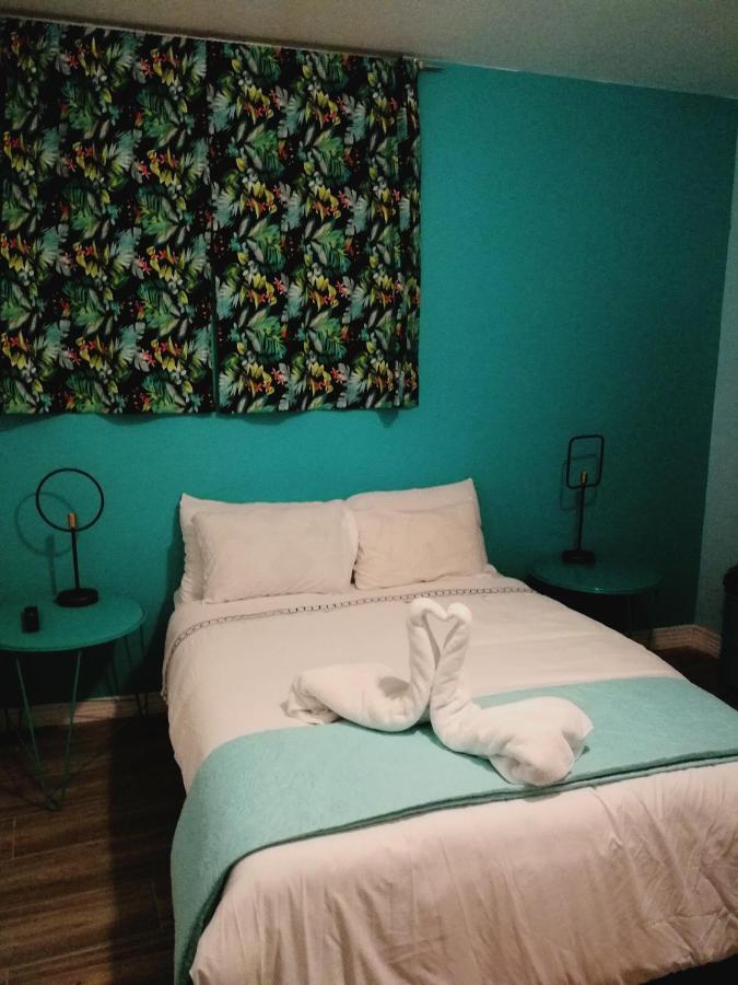 Nativus Art-Hostel San José Dış mekan fotoğraf