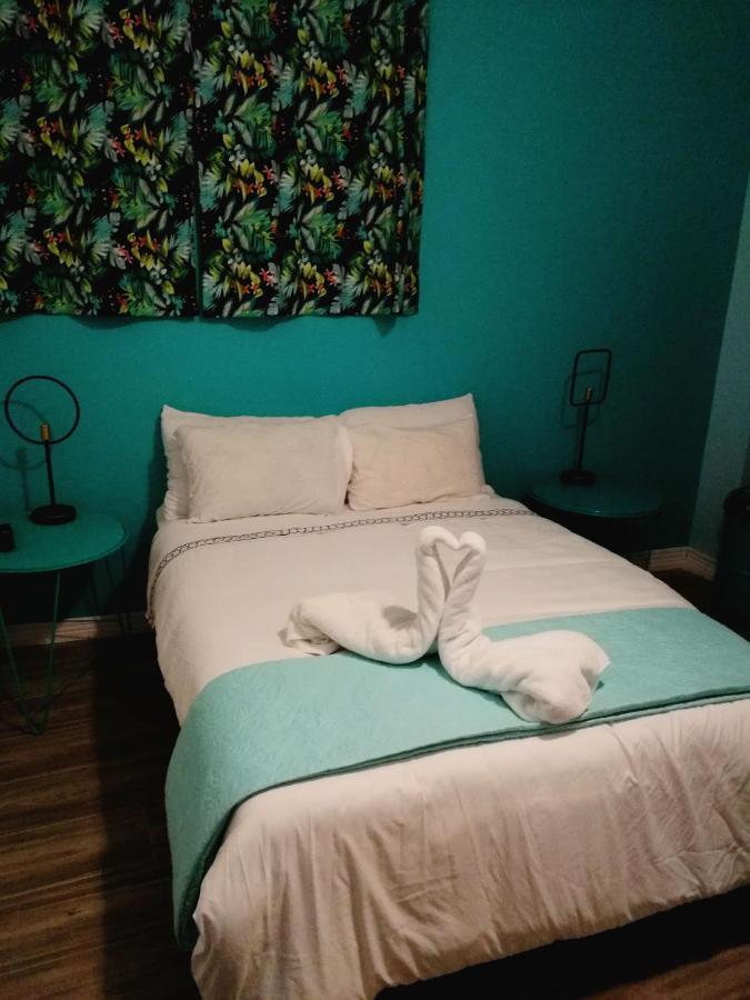 Nativus Art-Hostel San José Dış mekan fotoğraf